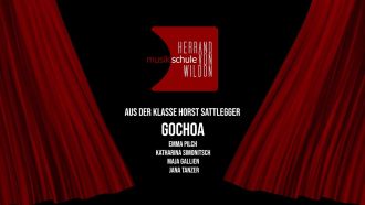 ama gochoa